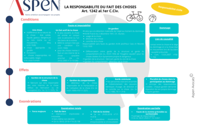 La responsabilité du fait des choses